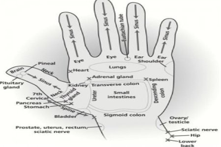 6 Titik Refleksi Kesehatan Di Tangan